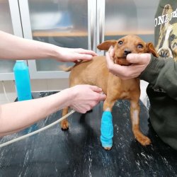 Pooperační kontrola