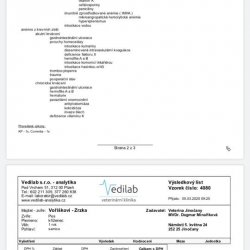 Výsledky a jejich vyhodnocení