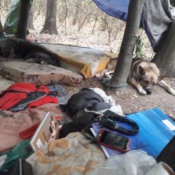 Rockyho první bydliště