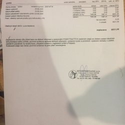 Faktura z veteriny (Luna na faktuře druhá v pořadí)