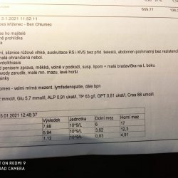 Beník - faktura z veteriny