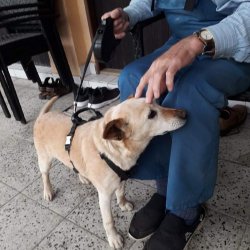 Myšák s novým páníčkem